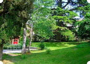 Hazelnut Valley - Image 4