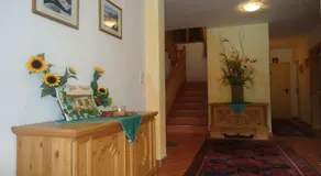 Alpbacher Appartementhaus Johannes - Image 3