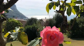 Villa Leda - Image 3