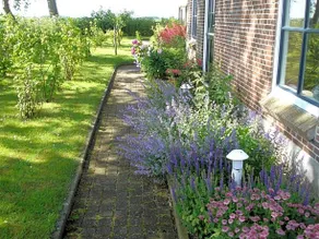 Op De Vlakte - Image 3