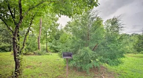 Cabin in Mill Spring Near Parker-Binns Winery - Image 4