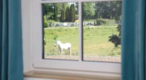 Neu Reet Ferienhaus Svantevit - Image 3