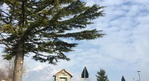 Casa Luigina - Image 2