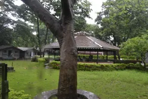 Nature Fun Resort - Image 5