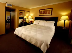 RADISSON SUITES HOTEL ANAHEIM - BUENA PARK - Image 5