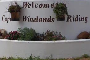 Cape Winelands Riding - Image 5