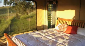 Donnybrook Eco Retreat - Image 3