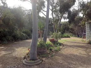 Port Elliot rural retreat - Image 4