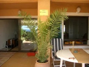Apartamento Mascarat vistas al mar - Image 2