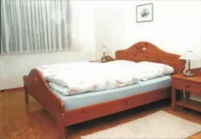 Ferienwohnung Brueckner - Image 3