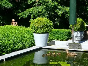 B&B Speelmansrei - Image 3