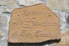 Lo Scudiero Di San Teodoro - Image 2