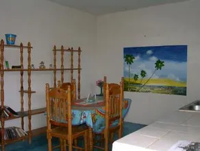 Real Dominican Republic Discovery - Image 2