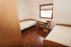 Plant Apartment - Image 4