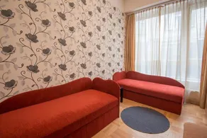 Budapest Standard Silver - Image 3