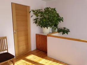 Viru Maja - Image 2