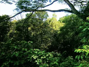 Surrey Bird Sanctuary & Holiday Resort - Image 4