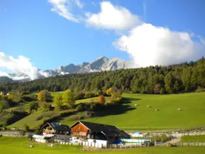 Bauernhof  Veidlerhof - Image 3