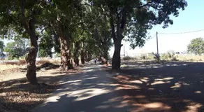 Appart Ziguinchor - Image 2