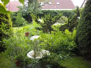 Storchennest - Image 4