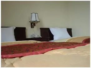 Vishnu Hotel - Image 3