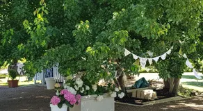 The Cottage - Image 4