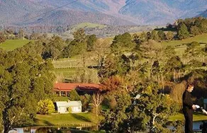 Stonelea Country Estate - Image 2