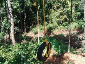 Leisure Vacations Alpinia Resort Coorg - Image 5