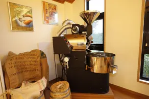 Goldenpaddy B&B - Image 5
