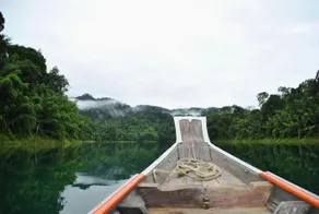 Khao Sok Hostel - Image 2