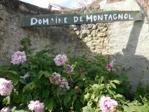 Domaine De Montagnol - Image 2
