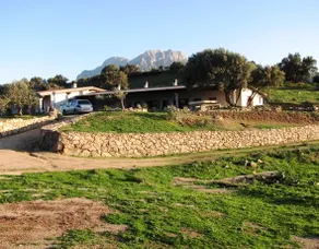 B&B Sa Mendula - Image 4