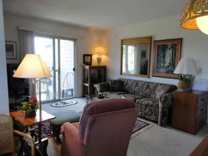 Pinnacle Inn Resort by VCI Real Estate Services - Image 3