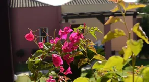 Villa Magic Perla - Image 5