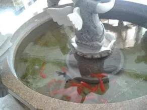 Jin Gang Hotel - Image 5