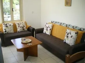Palm Haven - Image 3