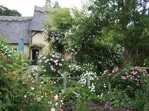 Thatched Cottage - Image 2