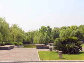 Haijiya Club - Image 4