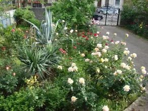 Guest House Mariami - Image 4