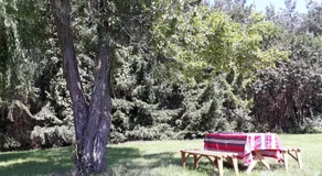 Leśna Polana - Image 2