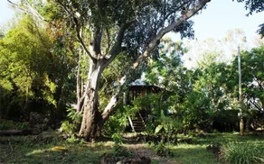 Cabañas Hare Miru - Image 2