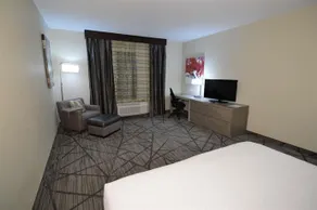 BEST WESTERN PLUS HOUSTON I-45 NORTH INN & SUITES - Image 3