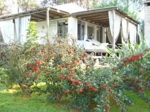 Cabanas Ugla - Image 2
