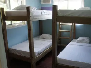 Bocas Surf School & Guest House - Image 3