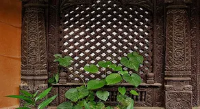 Anadu House - Image 4
