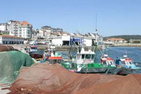 Hostal Esperanza Del Mar - Image 5