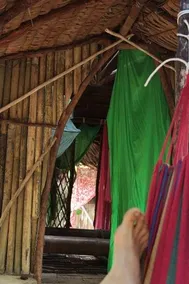 la maison du banian - Image 4