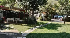 Blue Garden - Image 4