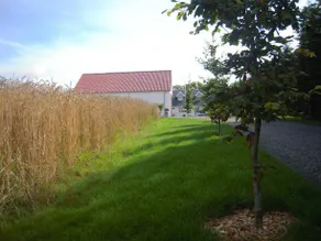 Graus - bed/ferieværelse - Image 3