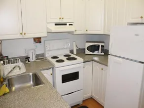 Adib Apartments 362 Friel St - Image 3